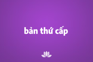 Bản thứ cấp